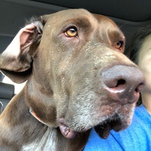 Meet your Posher, Maggie